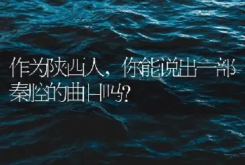 作为陕西人，你能说出一部秦腔的曲目吗？