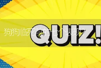 狗狗临死前的七个表现？
