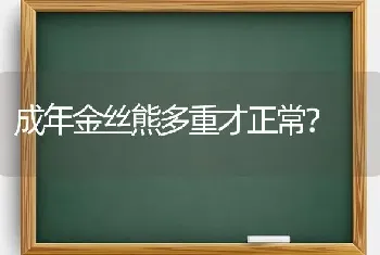 成年金丝熊多重才正常？