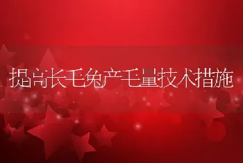 提高长毛兔产毛量技术措施