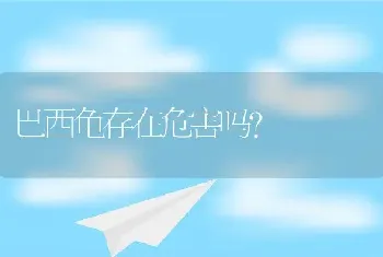 巴西龟存在危害吗？