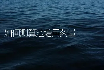 如何测算池塘用药量