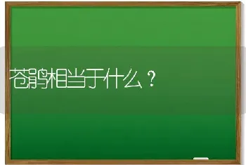 苍鹃相当于什么？