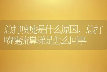 总打喷嚏是什么原因，总打喷嚏流鼻涕是怎么回事