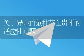 关于异地竹鼠种苗在贵州的适应性问题