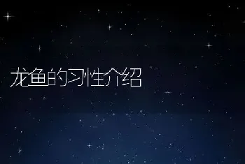 龙鱼的习性介绍