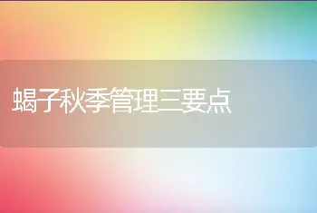 蝎子秋季管理三要点