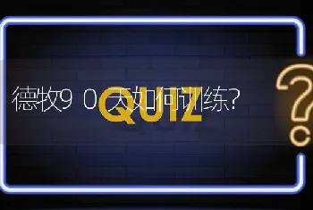 德牧90天如何训练？