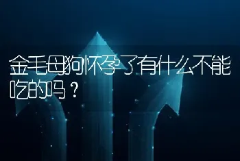 金毛母狗怀孕了有什么不能吃的吗？