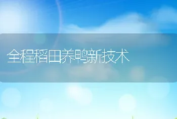 全程稻田养鸭新技术