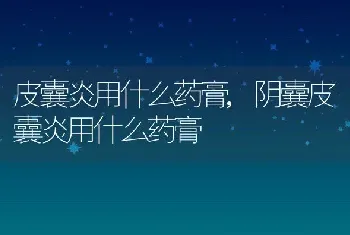 皮囊炎用什么药膏，阴囊皮囊炎用什么药膏