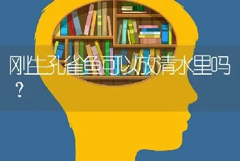 刚生孔雀鱼可以放清水里吗？