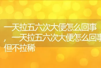 狐狸是保护动物吗，狐狸是保护动物吗？能否当宠物养