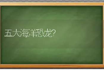 刚买的乌龟一直动怎么办？