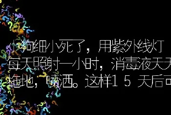 小狗细小死了，用紫外线灯每天照射一小时，消毒液天天拖地，喷洒。这样15天后可以再养吗？