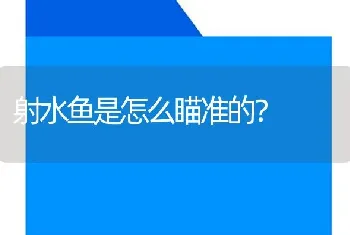 射水鱼是怎么瞄准的？