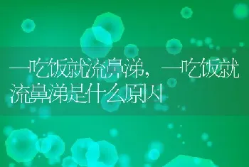 一吃饭就流鼻涕，一吃饭就流鼻涕是什么原因