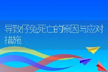 导致仔兔死亡的原因与应对措施