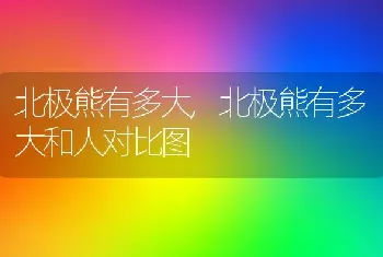 北极熊有多大，北极熊有多大和人对比图