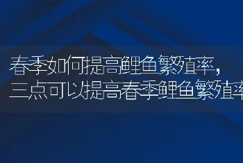 春季如何提高鲤鱼繁殖率，三点可以提高春季鲤鱼繁殖率