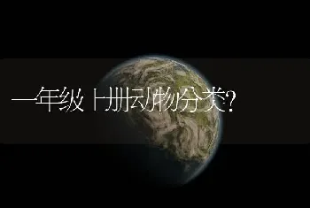 一年级上册动物分类？