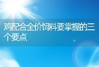 鸡配合全价饲料要掌握的三个要点