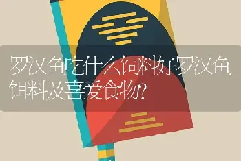 刚生的小兔子怎么养？