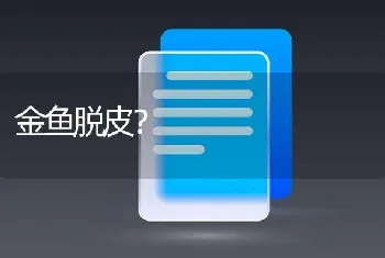 蓝宝石（龙鱼）价格是多少？