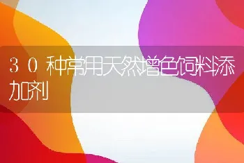 全雄罗非鱼健康养殖技术