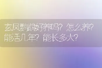 小狗趴着往后倒退是怎么回事？