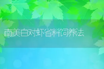 南美白对虾省料饲养法