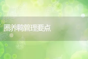 圈养鸭管理要点