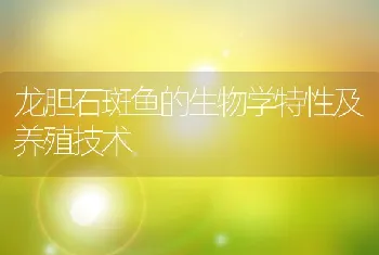 龙胆石斑鱼的生物学特性及养殖技术