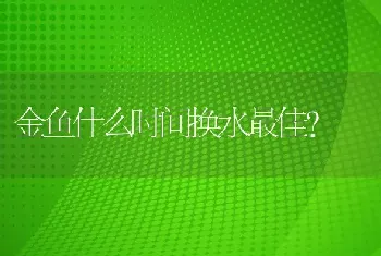 金鱼什么时间换水最佳？