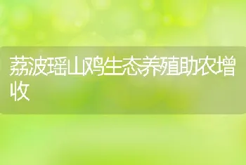 荔波瑶山鸡生态养殖助农增收