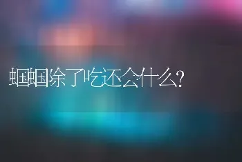 蝈蝈除了吃还会什么？