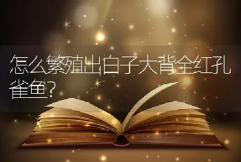 怎么繁殖出白子大背全红孔雀鱼？