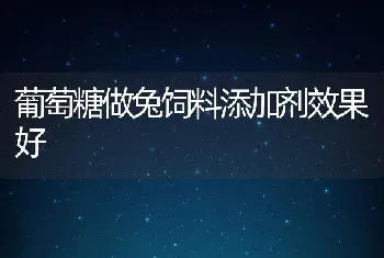 葡萄糖做兔饲料添加剂效果好