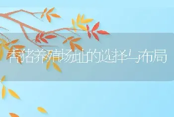 香猪养殖场址的选择与布局