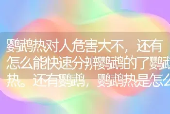 鹦鹉热对人危害大不，还有怎么能快速分辨鹦鹉的了鹦鹉热。还有鹦鹉，鹦鹉热是怎么得的？