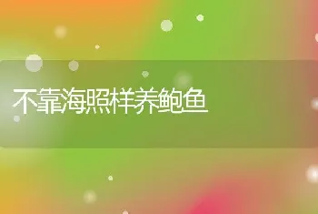 不靠海照样养鲍鱼