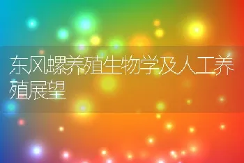 东风螺养殖生物学及人工养殖展望