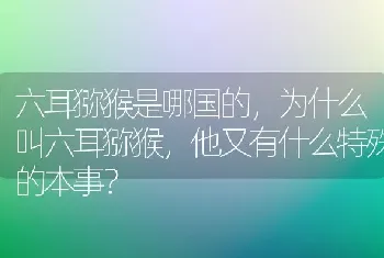 六耳猕猴是哪国的，为什么叫六耳猕猴，他又有什么特殊的本事？