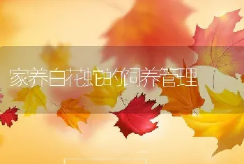 家养白花蛇的饲养管理