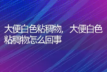 大便白色粘稠物，大便白色粘稠物怎么回事