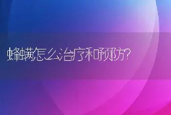 蜂螨怎么治疗和预防？