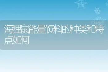 海狸鼠能量饲料的种类和特点如何