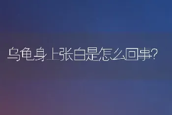 乌龟身上张白是怎么回事？