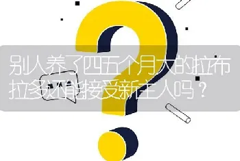 别人养了四五个月大的拉布拉多还能接受新主人吗？