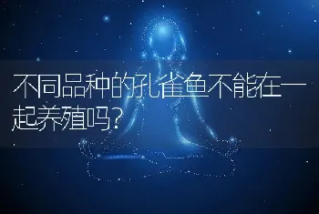 不同品种的孔雀鱼不能在一起养殖吗？